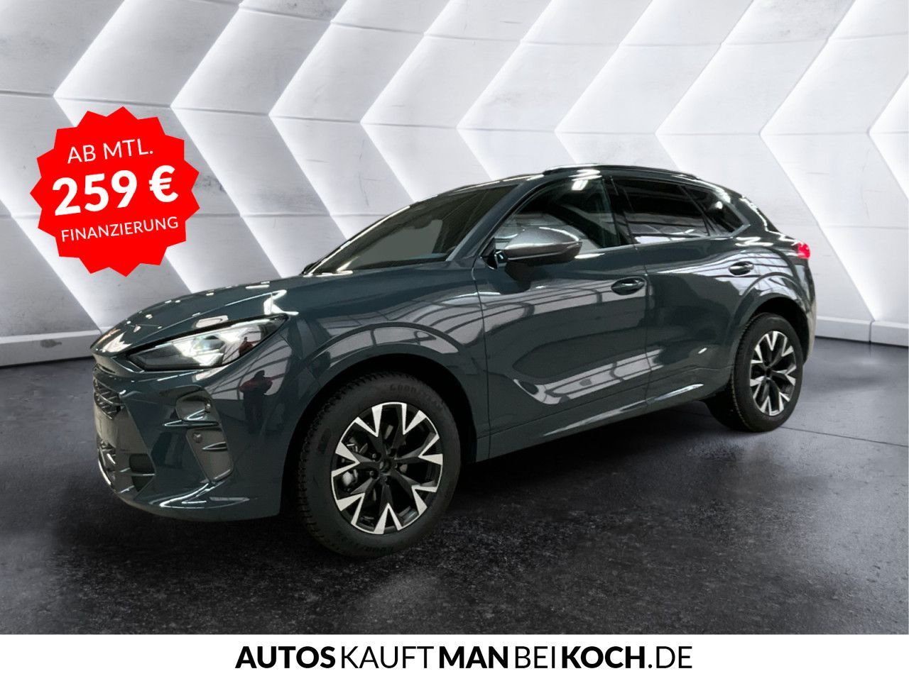 Cupra Terramar - Bild 4