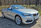 BMW 230i Steptronic Cabrio Luxury Line Luxury Line - BMW 230 von privat