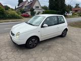 Volkswagen Lupo 1.0*HU:09.2025*LPG*technisch gut* - Volkswagen Lupo in Hamburg