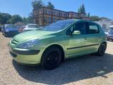Peugeot 307 Grand Filou 110 Klima Euro3 & D4 - Peugeot 307: Filou