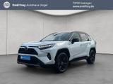 Toyota RAV 4 2.5 4x4 Hybrid Style Selection - Toyota RAV 4 Jahreswagen