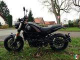 Benelli Leoncino 500 Modell 2023 - BENELLI MOTORRAD