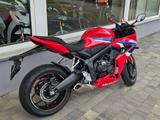 Honda CBR 650 R - HONDA CBR 650