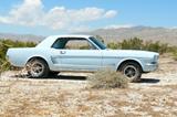 Ford Mustang - Ford Gebrauchtwagen von 1966