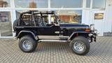 Jeep Wrangler Sport Utility - gebrauchte Jeep Wrangler aus dem Jahr 1994