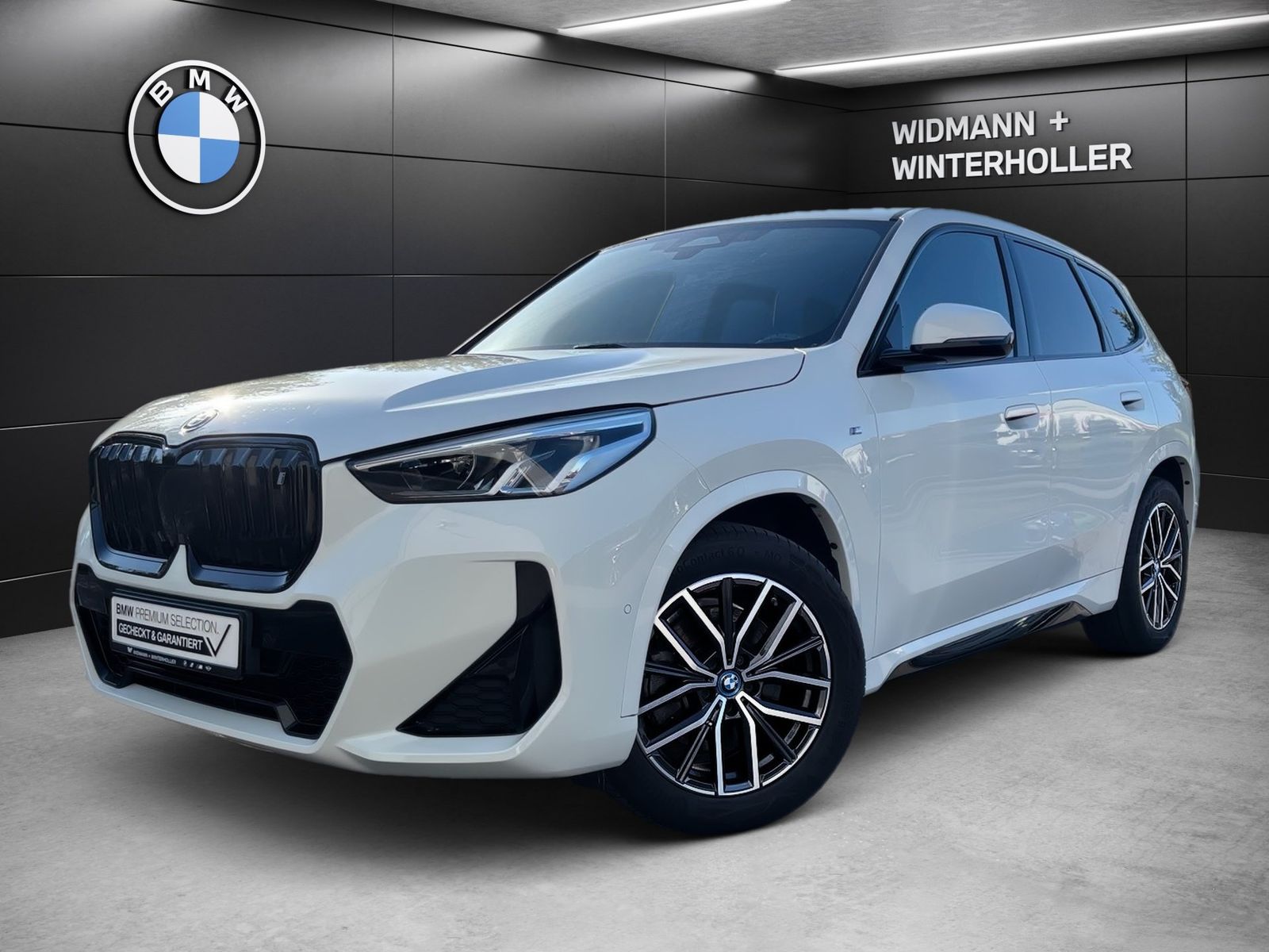 BMW iX1 xDrive30 M Sport Navi LC Plus DAB PA RFK foto 1