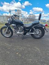 Yamaha Virago 535,  sehr gepflegt! - Offers