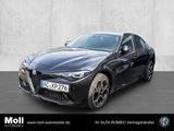 Alfa Romeo Giulia Competizione Leder Navi HARMAN/KARDON - Alfa Romeo Giulia in Köln