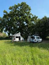 Volkswagen Caddy Maxi Camper | Proffesioneller Ausbau - Angebote