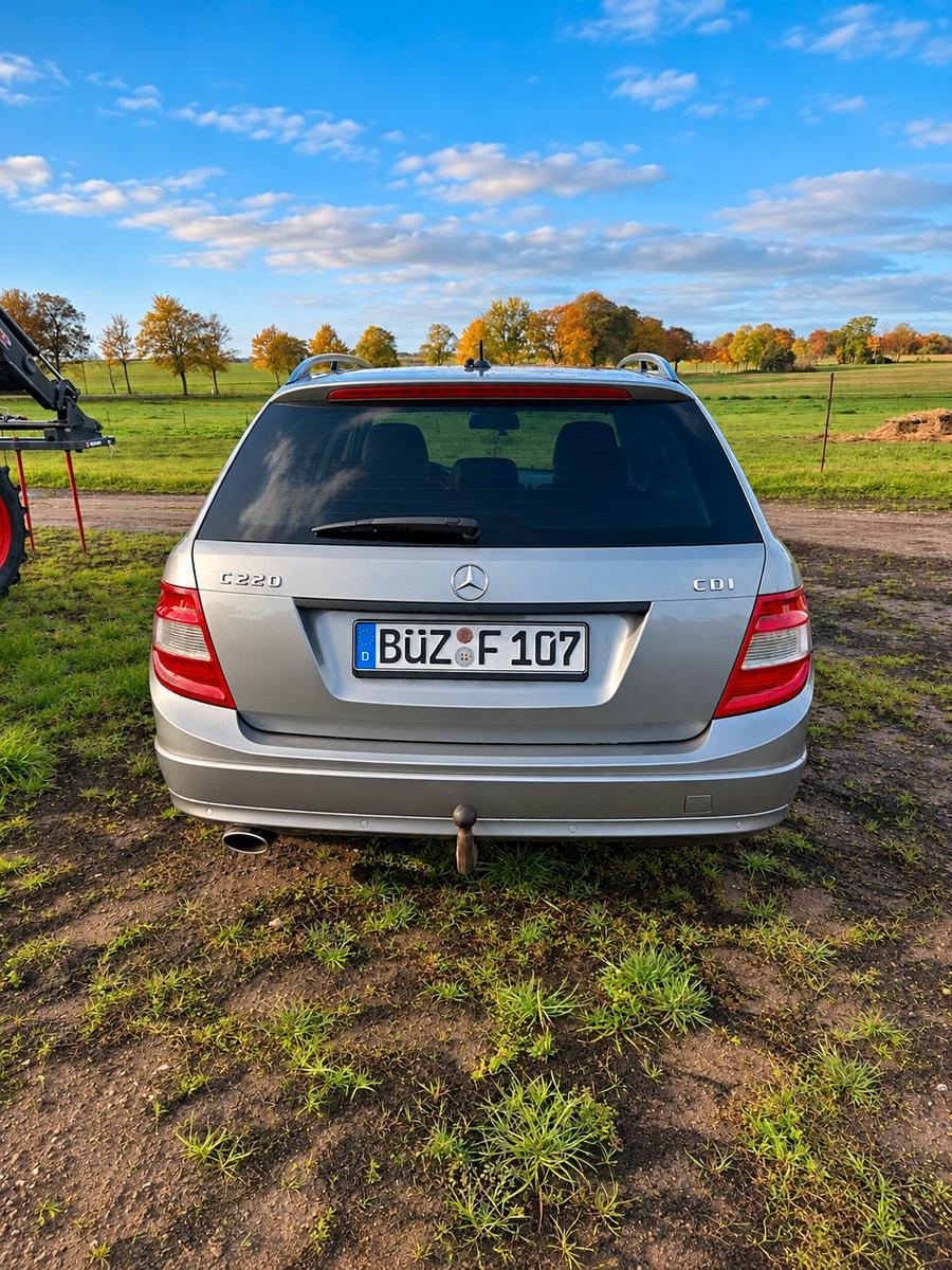 Mercedes-Benz 220 2010 — rear view