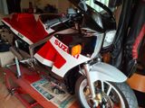 Suzuki RG 500 - SUZUKI RG 500