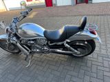 Harley-Davidson VRSCA V-ROD - Offers matching your search criteria
