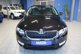Skoda Octavia Combi 1.6 TDI DPF Ambition Green Tec - Skoda Octavia: Dpf