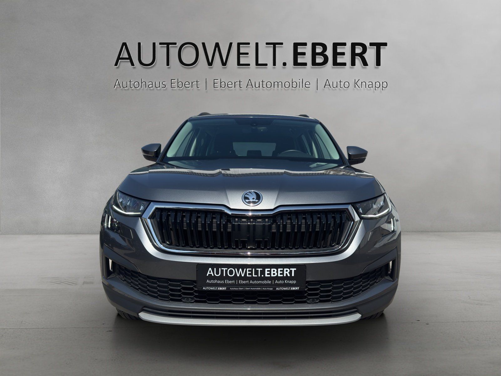Fahrzeugabbildung SKODA Kodiaq 1.5 TSI DSG Ambition/AHK/KAMERA/ACC/