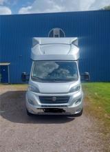 Fiat Ducato Transporter - Fiat: Transporter