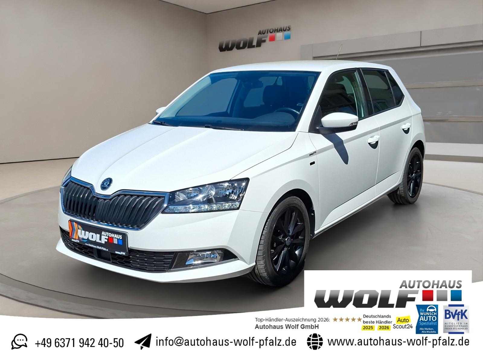 Skoda Fabia 1.0 TSI Clever Best of ACC~SmartLink~SHZ~S