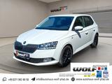 Skoda Fabia 1.0 TSI Clever Best of ACC~SmartLink~SHZ~S - Skoda Fabia: Clever Best Of