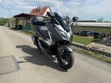 Honda Forza 300 1. Hand, sehr gepflegt! - HONDA ROLLER 300