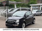 Fiat 500 Cult *TÜV*GARANTIE* - Fiat 500 mit Benzin-Antrieb: Leder, Kleinwagen