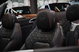 Bentley Continental GTC 4.0 V8 First Edition - Bentley: Rot