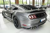 Ford Mustang GT 5,0 GT 500 SHELBY PREMIUM TOP - Ford Mustang: Shelby Gt500