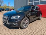 Audi SQ5 3.0 TDI plus quattro Stdhzg AHK Kamera Raute - Audi: Ra