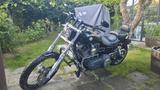 Harley-Davidson Dyna wide glide FXDWG 103 - HARLEY-DAVIDSON DYNA GLIDE