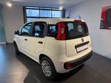 Fiat Pandina ICON Hybrid 1.0 GSE Vorführwagen - Fiat Panda Pandina mit Hybrid-Antrieb (Benzin/Elektro)