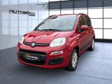Fiat Panda Lounge Garantie/HU neu/Service neu - Fiat Panda: Rot