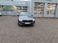 Skoda Octavia - Vorschau Bild 4