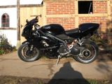 Triumph Daytona 955i - Offers matching your search criteria