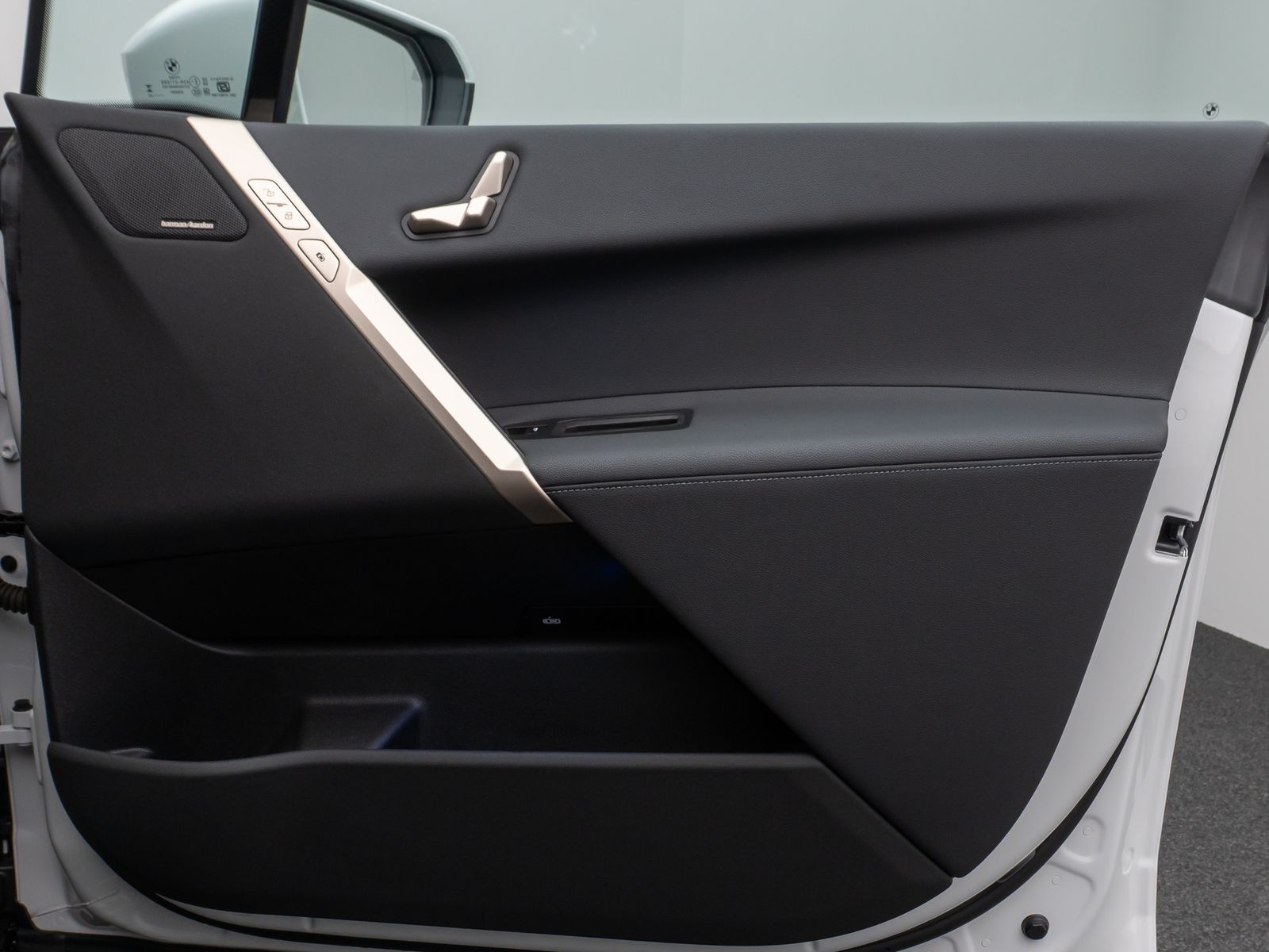 Fahrzeugabbildung BMW iX xD40 Sport SkyLounge 360°DAB H/K AHK 22Zoll
