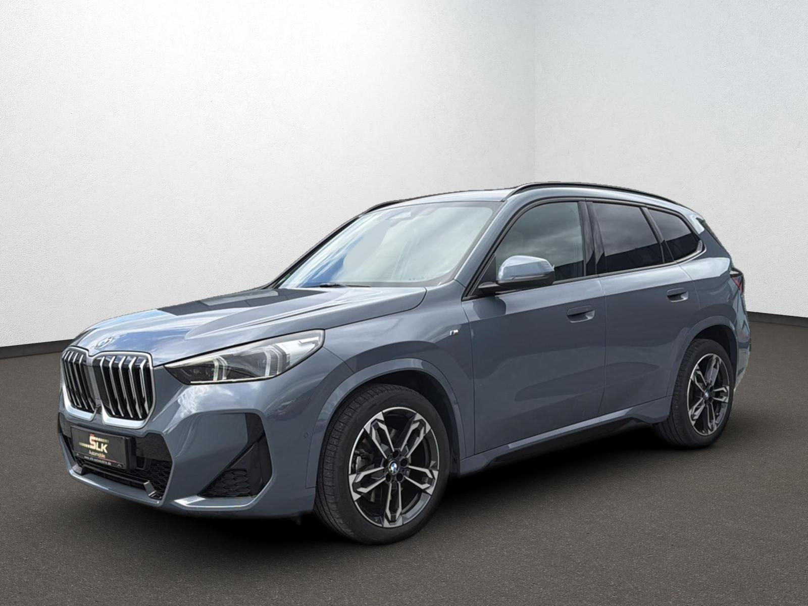 BMW X1 23d xDrive M-Sport LED Pano HeadUp AHK