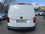 Volkswagen Caddy Nfz Maxi Kasten EcoProfi BMT Maxi Highline - Volkswagen Caddy Maxi mit Benzin-Antrieb