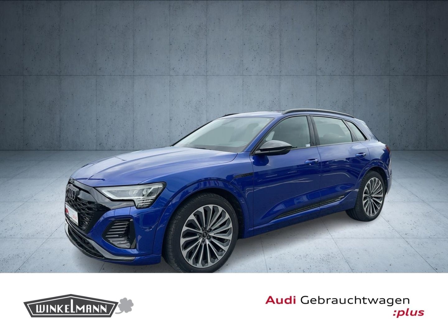 Audi Q8 e-tron 50 quattro S line AHK NAVI MATRIX-LED foto 1