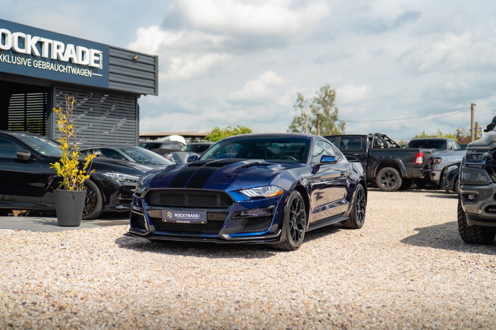 Fahrzeugabbildung Ford Mustang Shelby GT 500 Coupe Performance PREMIUM