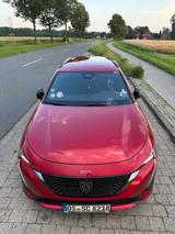 Peugeot 308 BlueHDi 130 EAT8 GT SW GT Winter SHZ Focal - Peugeot 308 von privat