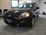 Fiat Punto 1.2 BENZINA 69CV GARANTITA - gebrauchte Fiat Punto aus dem Jahr 2017
