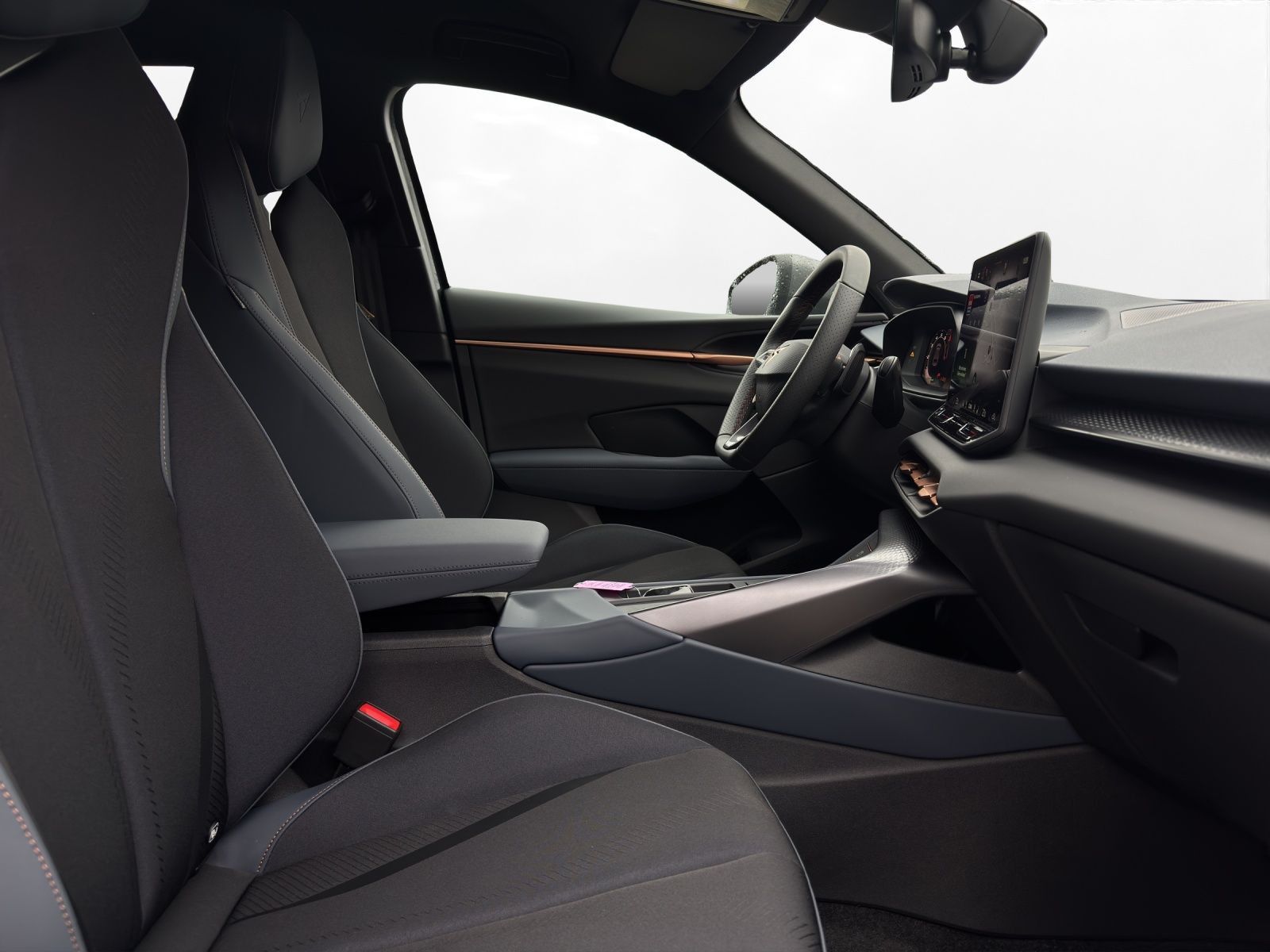 Cupra Terramar - Bild 15