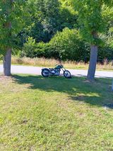 Harley-Davidson Panhead - HARLEY-DAVIDSON CHOPPER PANHEAD