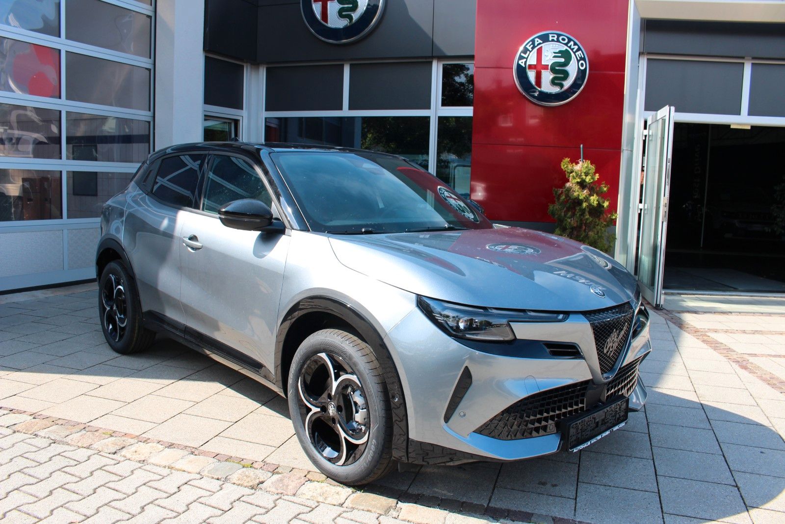 Alfa Romeo Junior - Bild 3