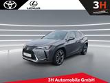 Lexus UX 250h Style Edition * LED PDC Allwetter* - Lexus in Bonn