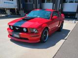 Ford Mustang V8 - gebrauchte Ford Mustang aus dem Jahr 2008