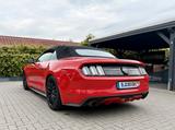Ford Mustang 5.0 GT Cabrio V8 - Ford Mustang mit Benzin-Antrieb: Cabrio, 5.0
