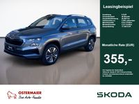 Skoda Karoq - Vorschau Bild 1