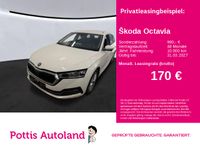 Skoda Octavia - Vorschau Bild 1