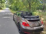 Volkswagen Beetle 2,0 TSI Cabrio Lederausstattung - Volkswagen Beetle: Cabrio