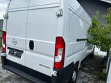 Opel Movano - gebrauchte Opel Movano aus dem Jahr 2024