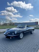 Alfa Romeo Spider 2.0 Pininfarina 115  |Note 2|Top Zustand - gebrauchte Alfa Romeo Spider aus dem Jahr 1986