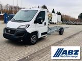 Fiat Ducato 35 180 Automatik mit AL-KO Tiefrahmen - Fiat Fahrgestell Ducato
